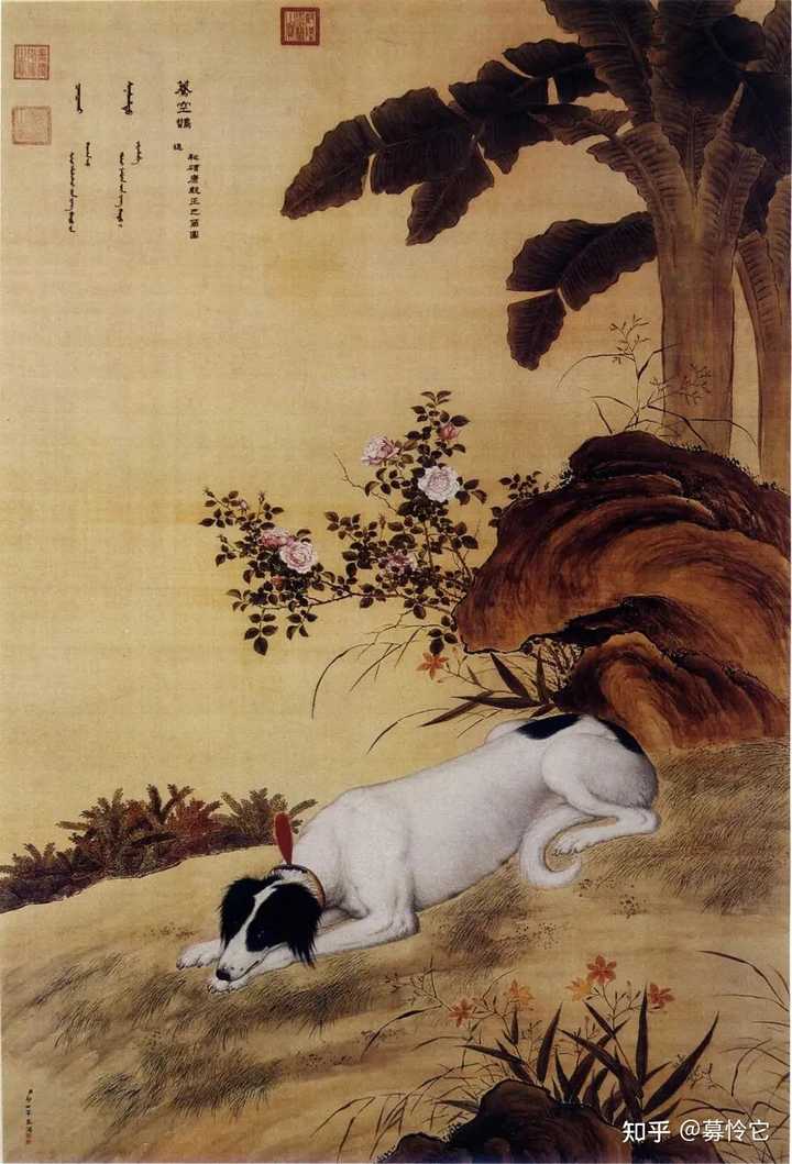 古代的狗长什么样? - 知乎