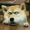 奥特兰托公爵