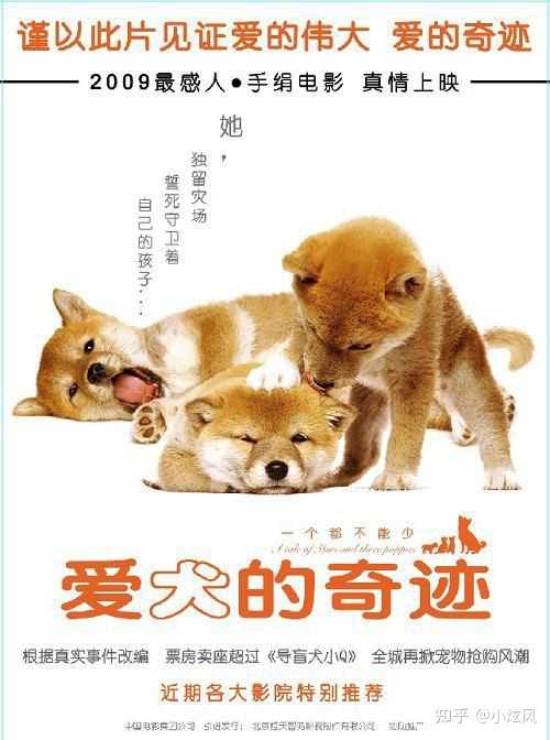 有哪些关于狗狗的影视剧推荐? - 知乎