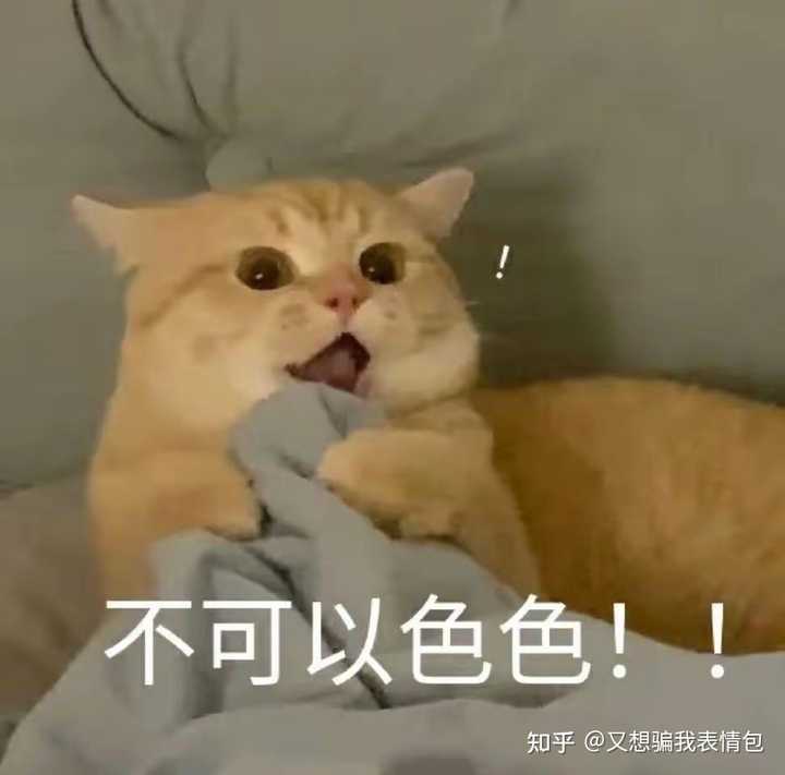 搞笑又可爱带点姨母笑的表情包有哪些？ - 知乎