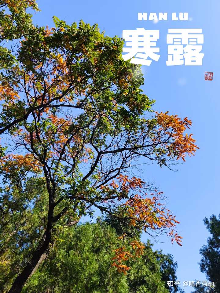寒露节气，有哪些相关的诗词描写呢？ - 知乎