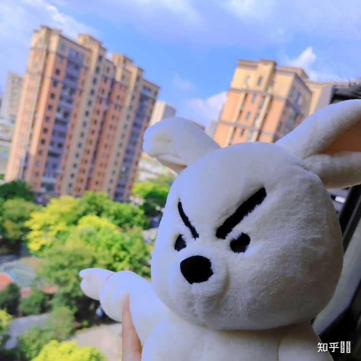 问童子有什么特别的吗? - 知乎