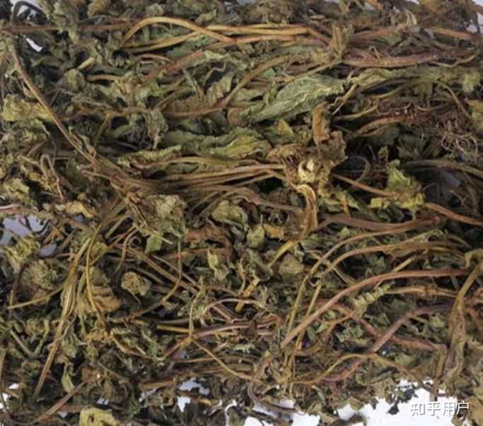 仙草到底是什么？怎么做的？ - 知乎