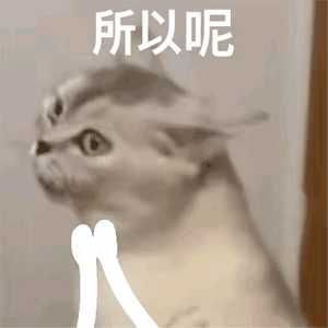 动图封面