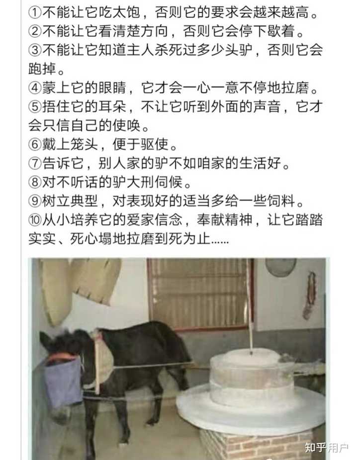 如何看待社会和生活中普遍存在的服从性驯化现象? - 知乎