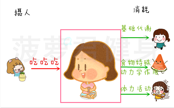 减肥运动快速燃脂_运动减肥_减肥运动什么时间段最好