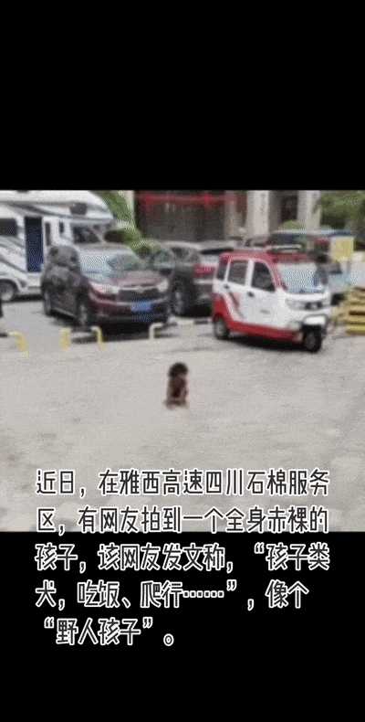 动图封面