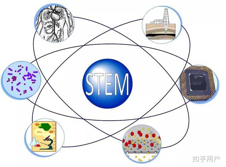 Stemc 如何确定自己的专业是否属于stem? - 知乎