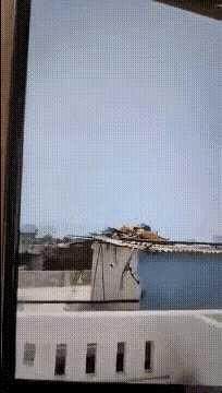 动图封面