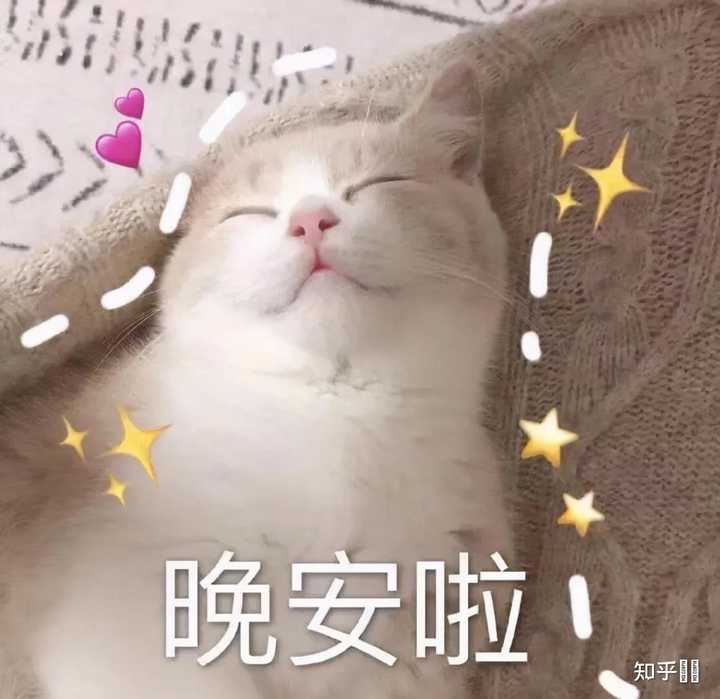 有哪些特别可爱的晚安表情包? - 知乎