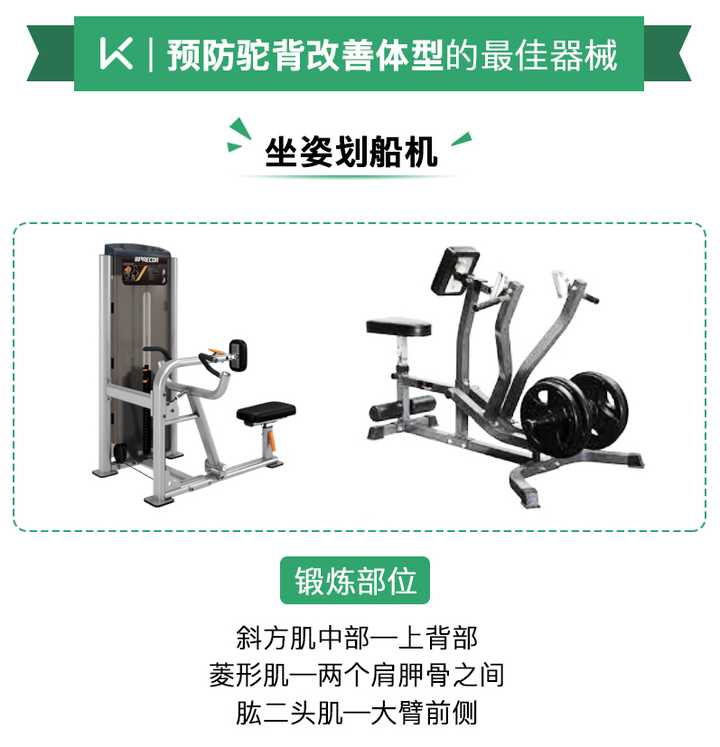健身房都有哪些健身器材?分别有什么作用? - 知乎