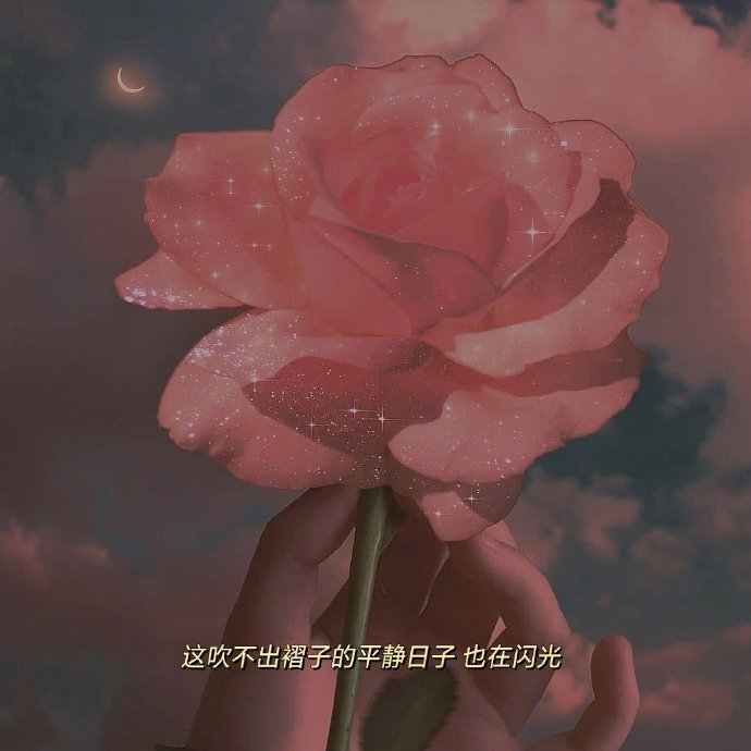 文案无关爱情