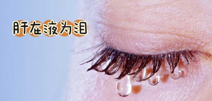 中医是怎么建立起“肝开窍于目”“在液为泪”“在体为筋”“在志为怒”“与春气相通应”的认识的? - 知乎