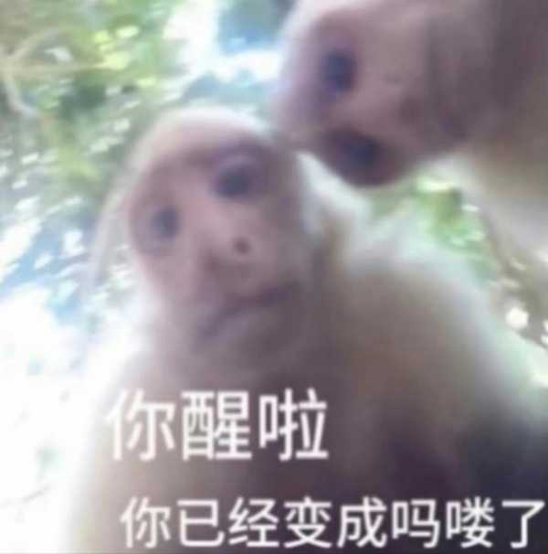 有没有哪些没有任何交集的人，忽然进入到了你的梦里，都发生了哪些有趣的故事？