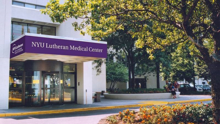 在纽约大学(NYU)读管理信息系统(Information System)是什么体验? - 知乎