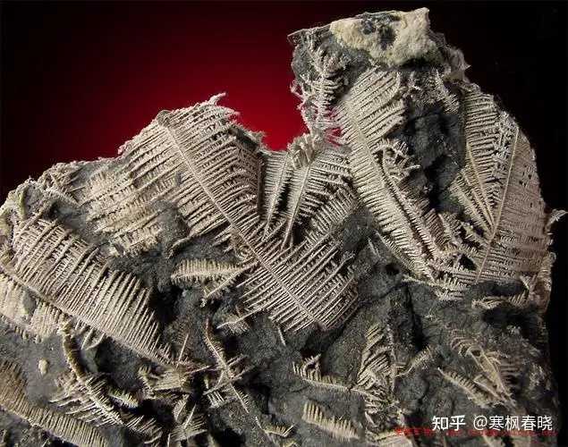 树枝状晶体形成的原因是什么? - 知乎