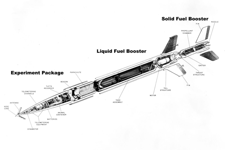 发现天鹅座 X-1 时使用的空蜂（Aerobee）火箭结构示意图