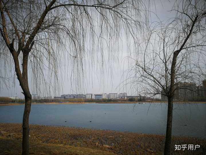 動物醫學是個垃圾_醫學垃圾怎么處理_醫學垃圾五大類