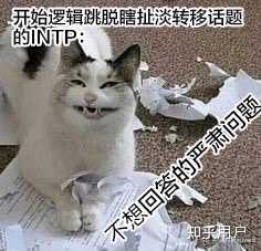 为什么大家都在说intp是猫？ - 知乎