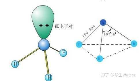 极性分子中一定有极性键吗? - 知乎
