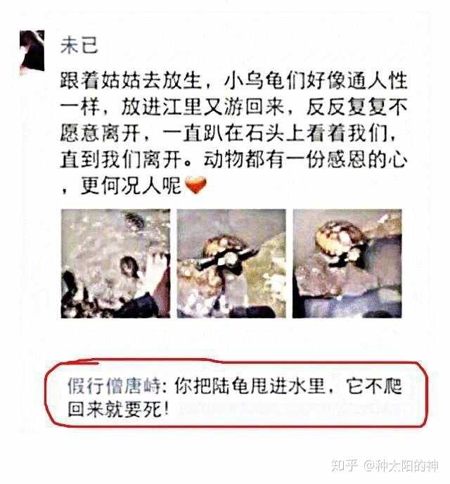 你见过哪些非常虚荣的人? - 知乎