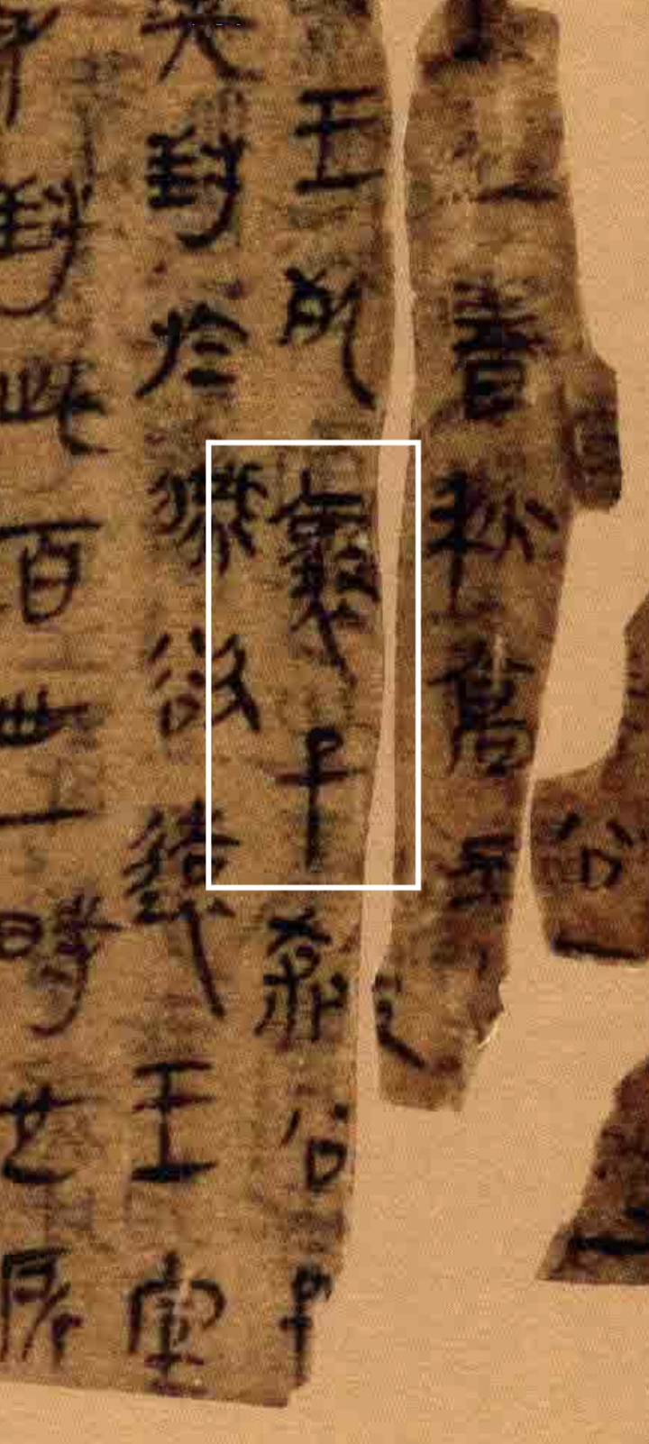古代称某某子皆为男性尊称,无一例外,为何有人将“马服子”翻译为“马服的儿子”这种违背先秦常识的翻译? - 知乎