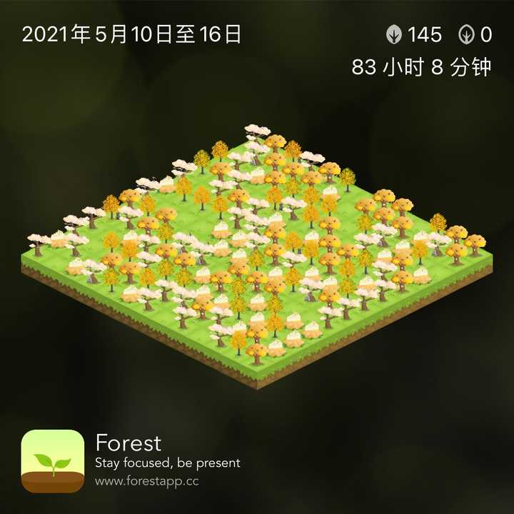 用forest种树怎样搭配最好看? - 知乎