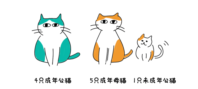 多猫家庭怎么分辨猫的地位？ 知乎 1962