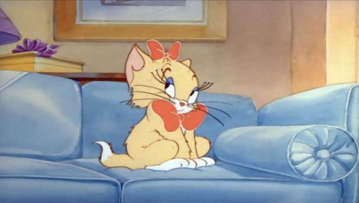 猫和老鼠中登场过的那些母猫哪只符合大家的审美? - 知乎