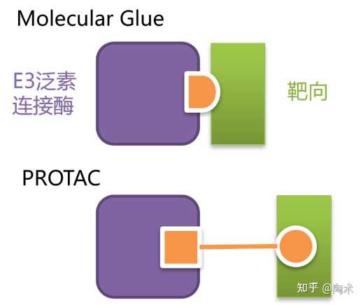 什么是分子胶，和PROTAC有什么区别？靶向蛋白降解剂的原理及开发？ - 知乎