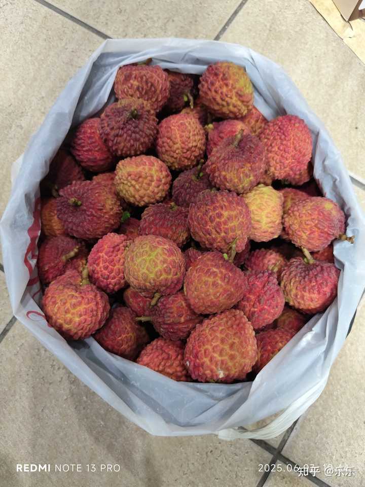有人说透明的荔枝是「活荔枝」,奶白色的是「死荔枝」,为什么会有这种差异?在口感上区别大吗? - 知乎