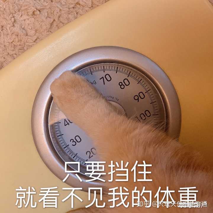 为什么很多女生get不到表情包? - 知乎