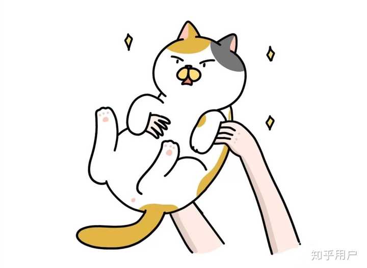 抱起猫的正确姿势是怎样? - 知乎