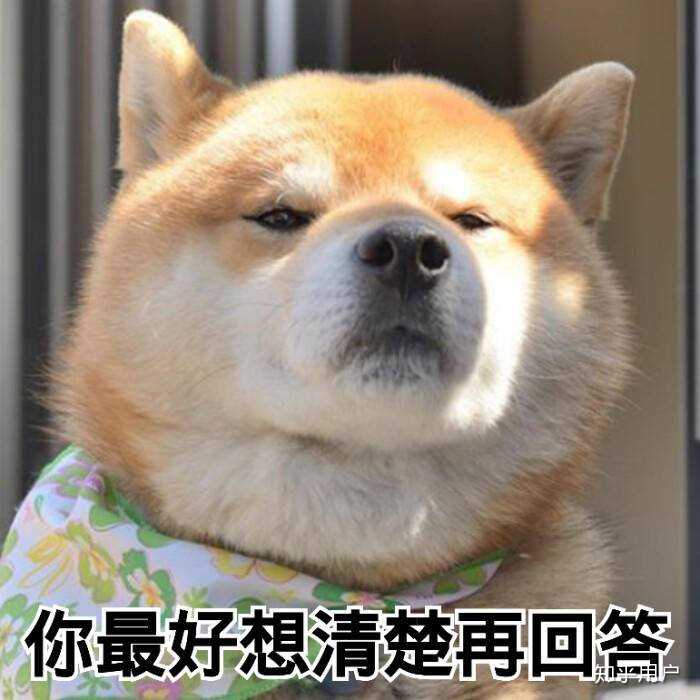 有哪些超级可爱的柴犬的表情包? - 知乎