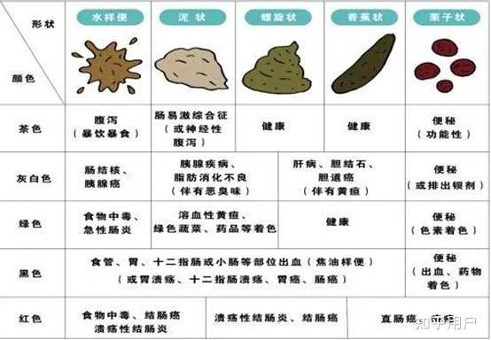 正常人每天总的排便量只有100～300克重吗？ - 知乎