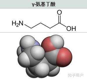 氨基和胺基区别? - 知乎