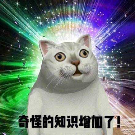 为什么大家都在说intp是猫？ - 知乎