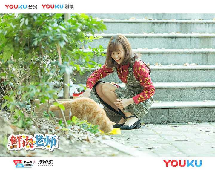 图片20查看更多简介影人:白客 / 孔连顺 / 刘杰毅 / 魏大勋 / 林千鹿