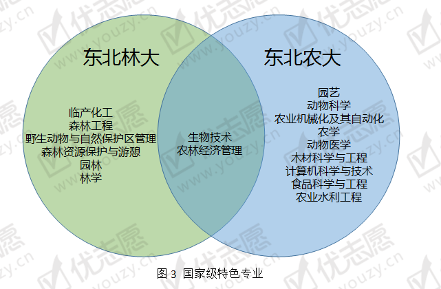 东北林业大学全国排名_东北的林业大学排名_东北林业排名多少