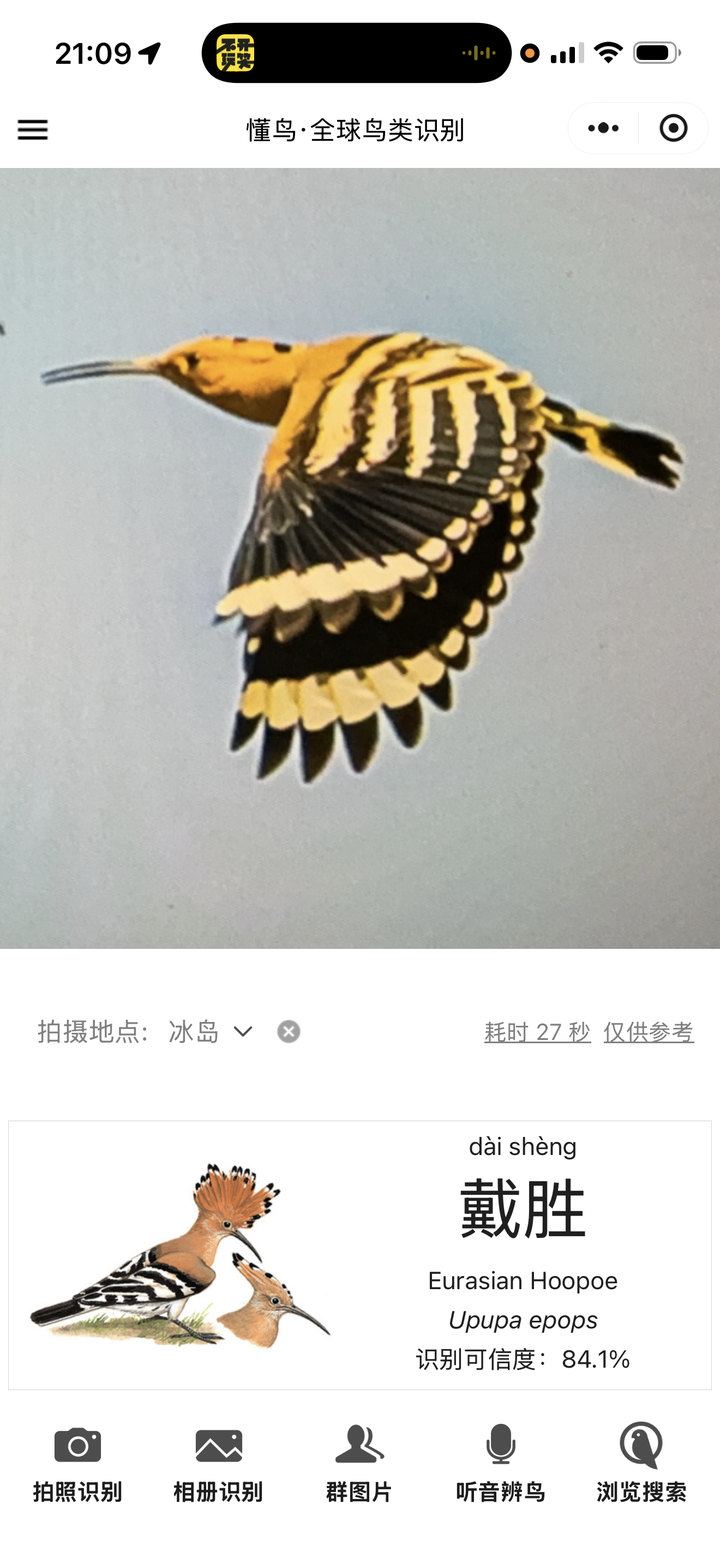无痕中国倡导生态赏鸟，强调从观察和记录身边的「菜鸟」等开始。你希望怎么快速地开启你的寻鸟之路？ - 知乎