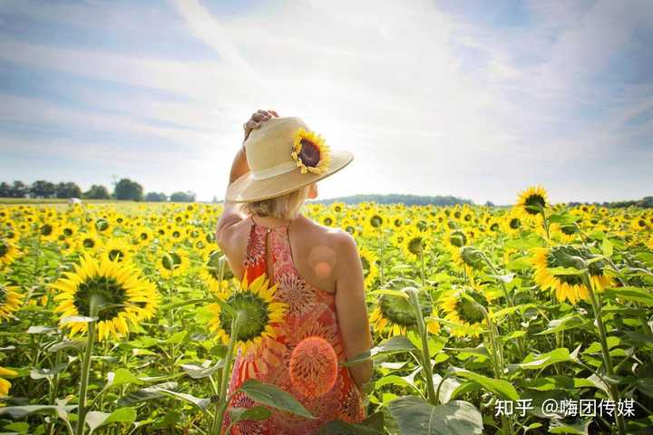 夏天分享生活的文案 夏天分享生活的文案