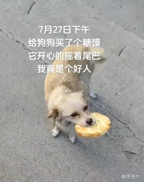 你看过的最有意思的meme、梗图有哪些? - 知乎