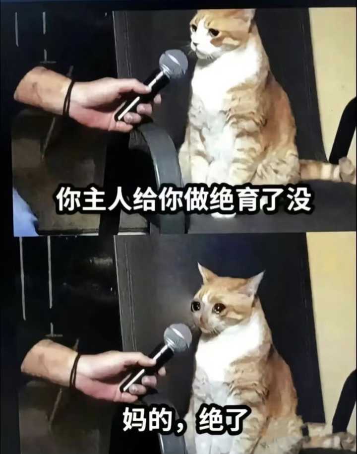 有哪些有趣的互联网MEME图/梗图/迷因图? - 知乎