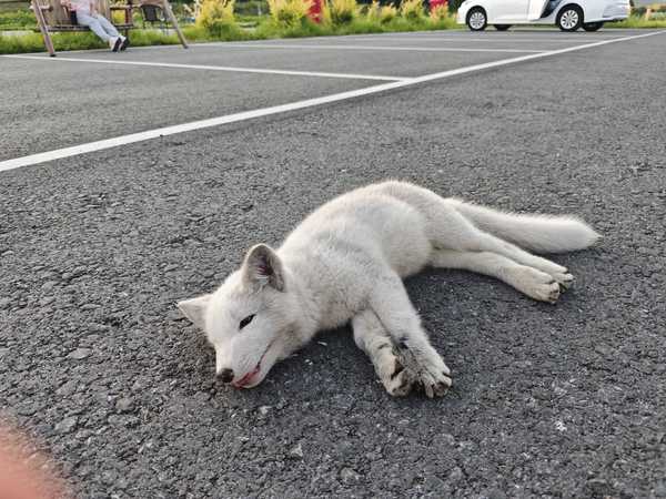 有什么比较炸裂的那种尴尬的经历吗？