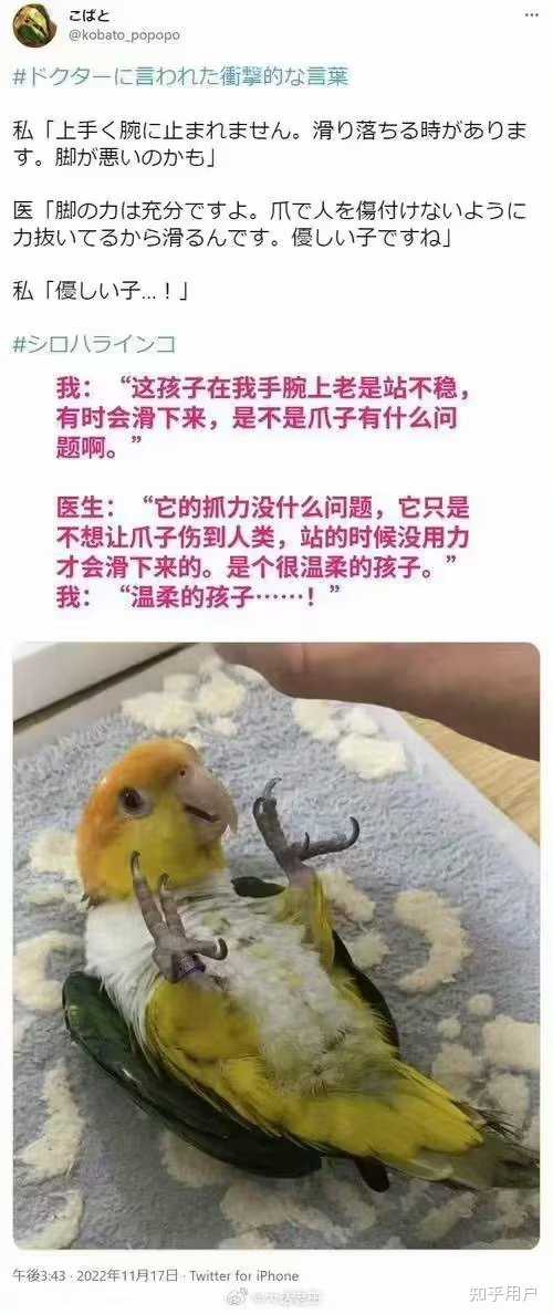 有哪些够你笑一辈子的沙雕图片？ - 知乎