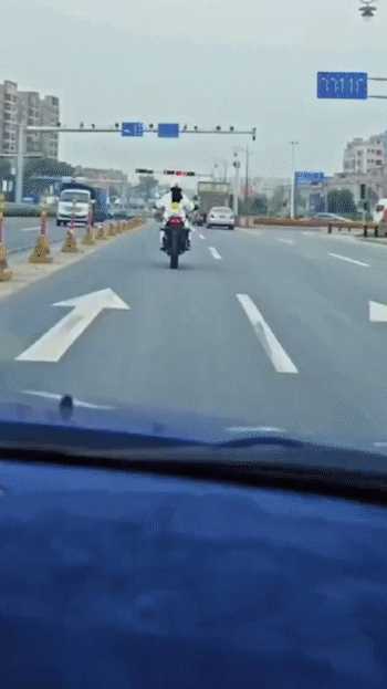 动图封面