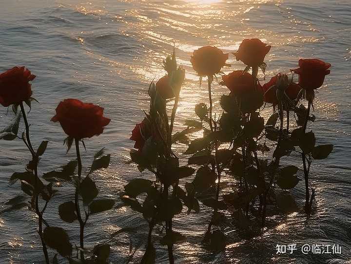 有哪些超好听的网名