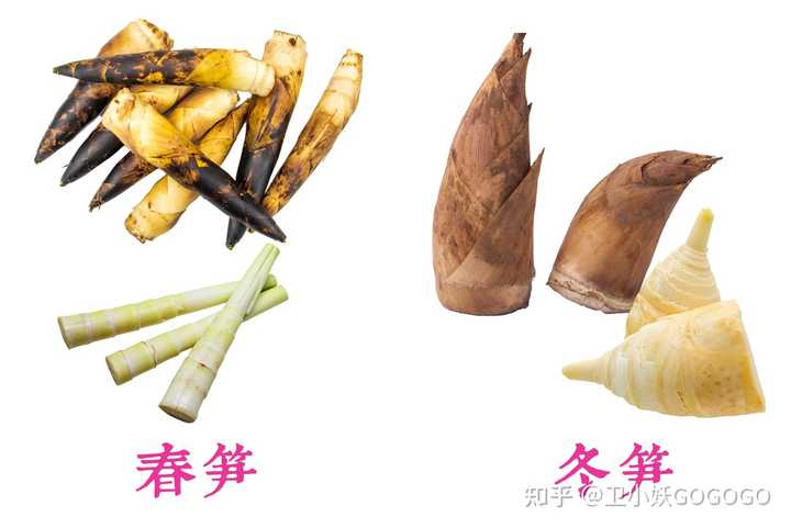 又到一年吃笋季，春笋都有哪些花样做法？ - 知乎