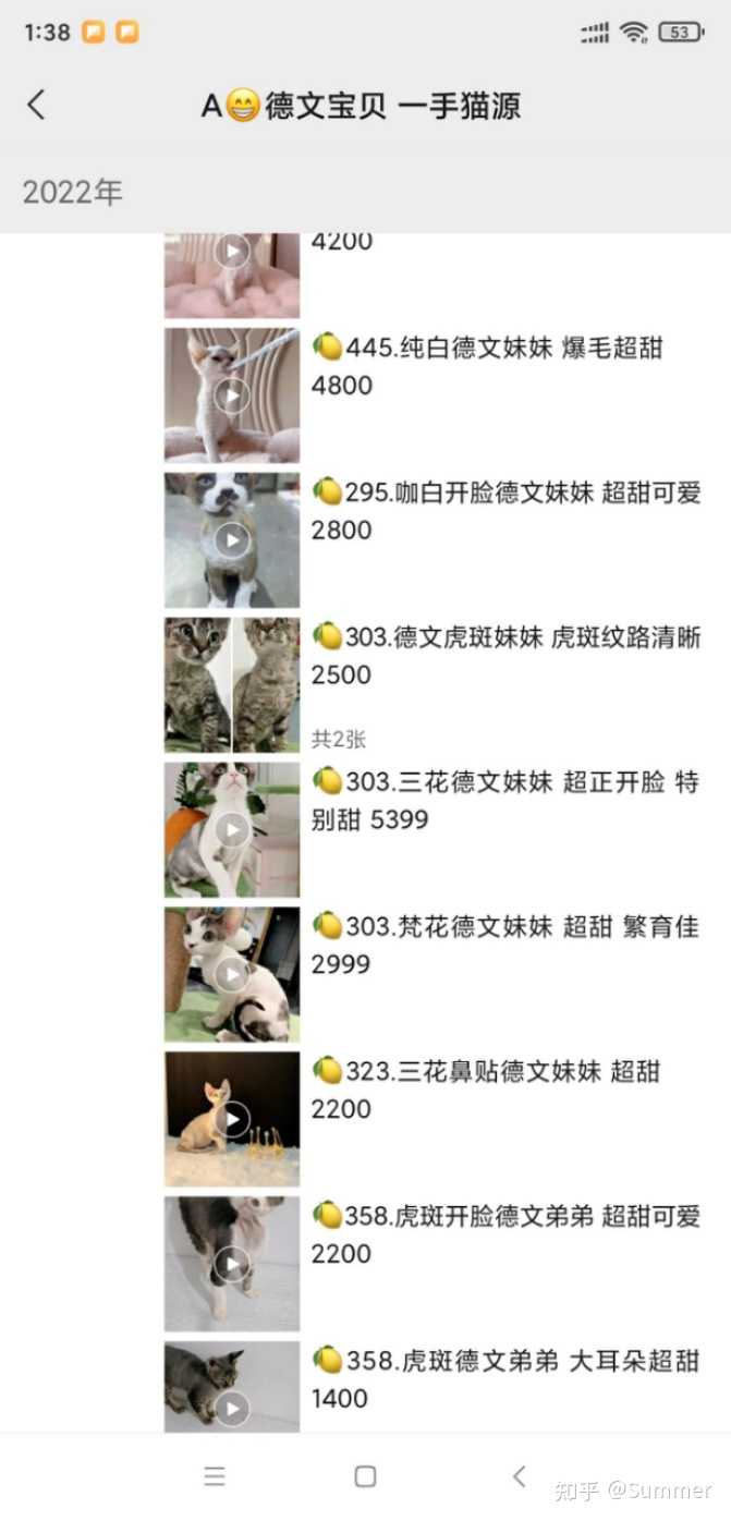 八个月的德文卷毛猫每天吃多少克食物合适？ - 知乎