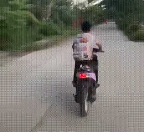 动图封面